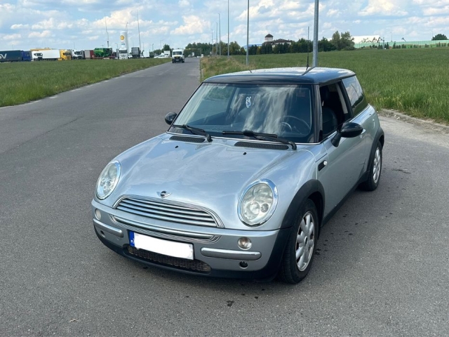 mini